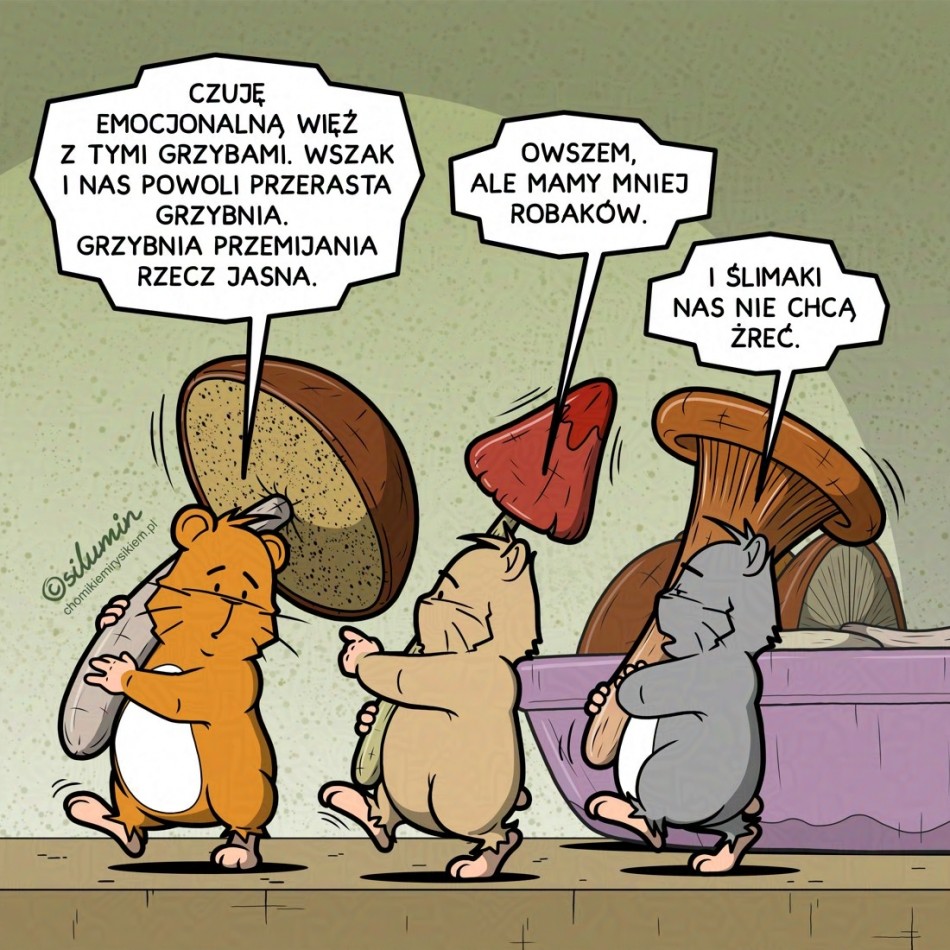 Grzybnia przemijania